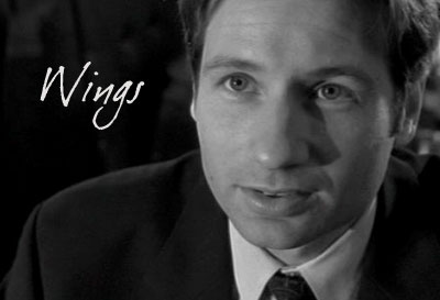 X-Files episode fanfiction vignette for Post-Modern Prometheus (PMP)